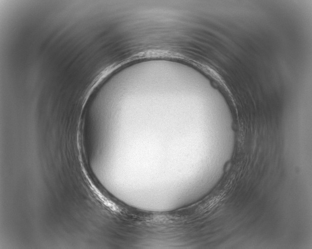 X0000053160847200508081435