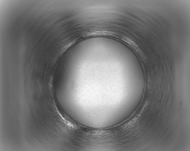 X0000053160849200508081435