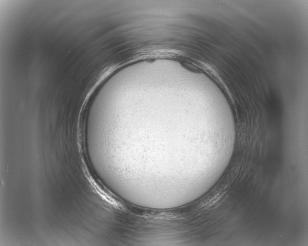 X0000053160851200508081435