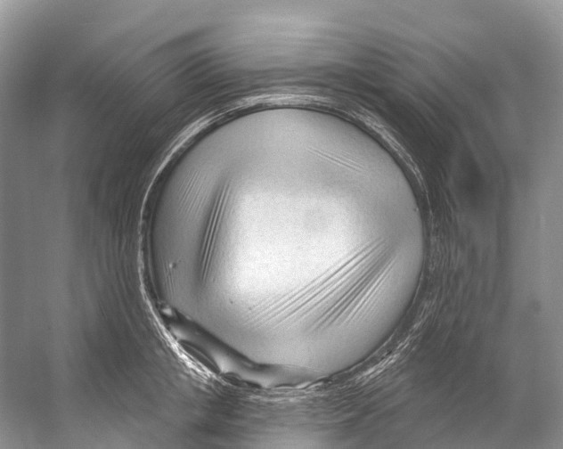 X0000053160853200508081435