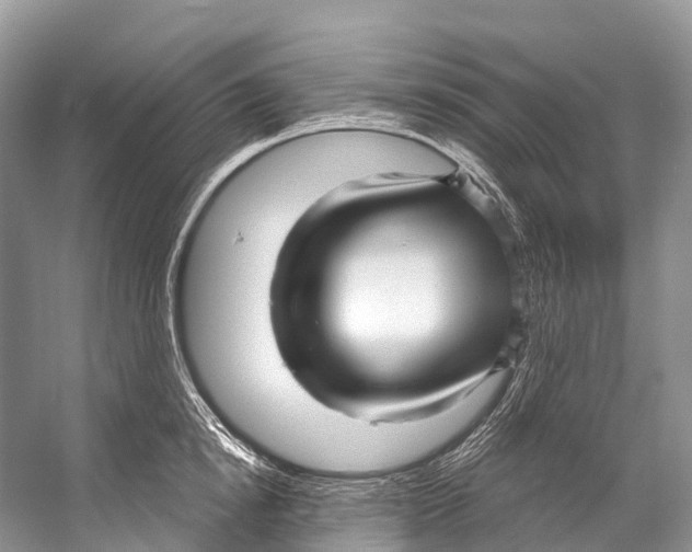 X0000053160854200508081435
