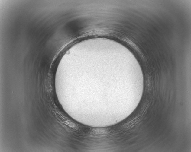 X0000053160878200508081434