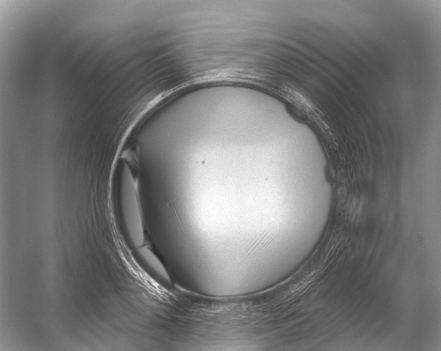 X0000053160892200508081434