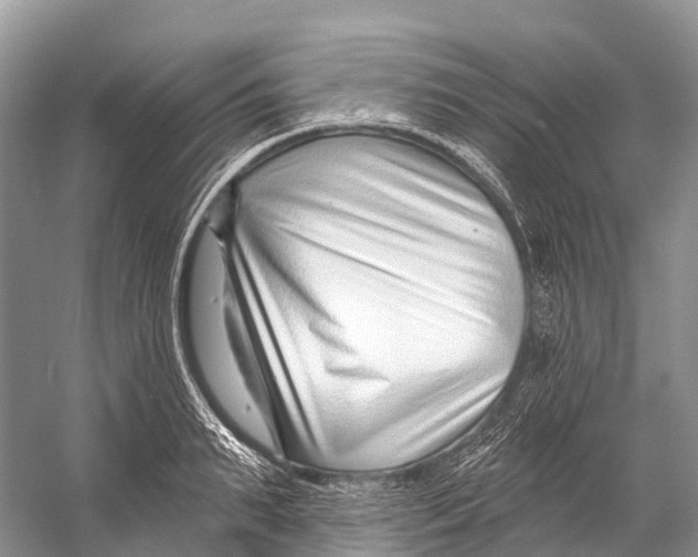 X0000053160895200508081434