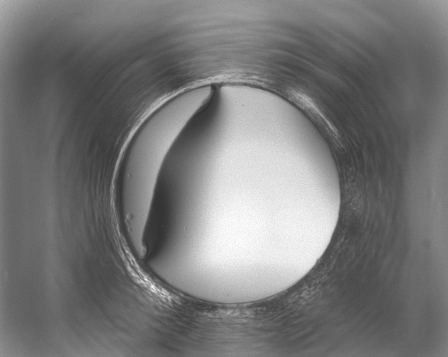 X0000053160900200508081434