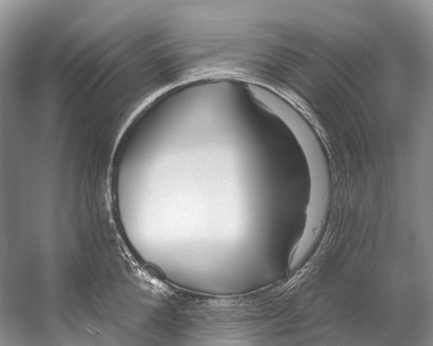 X0000053160904200508081433