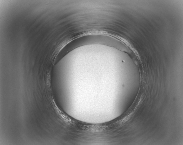 X0000053160905200508081433