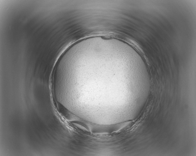 X0000053160907200508081433