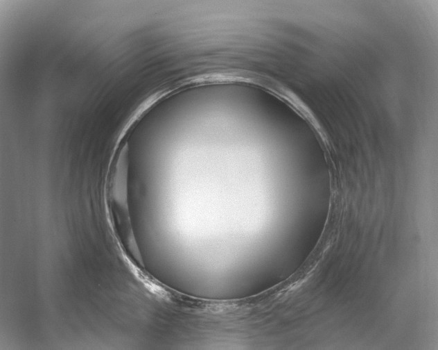 X0000053160909200508081433