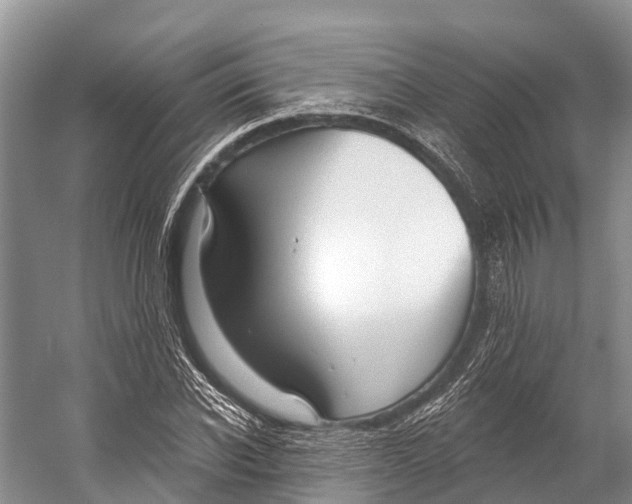X0000053160926200508081433