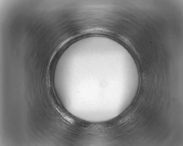 X0000053160931200508081433