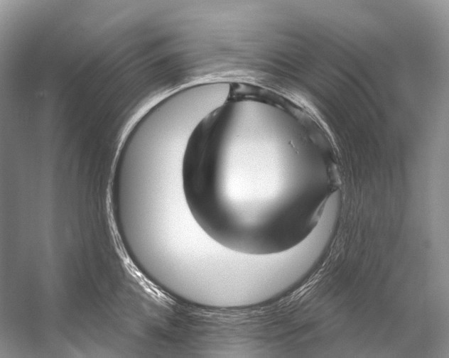 X0000053160952200508081433