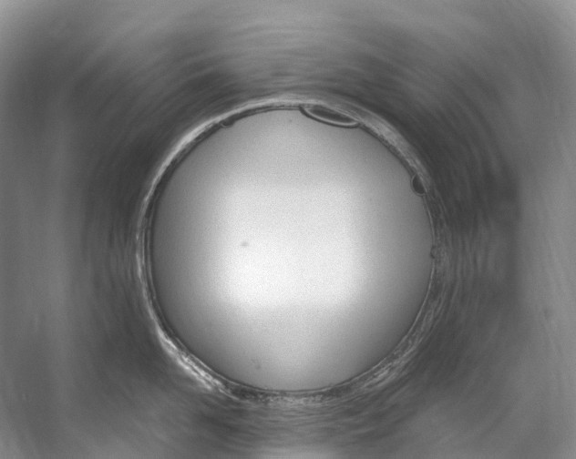 X0000053160958200508081433