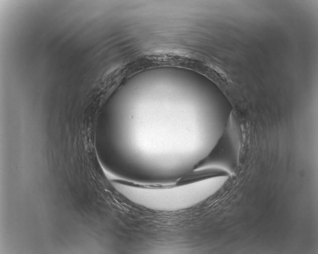 X0000053160965200508081432
