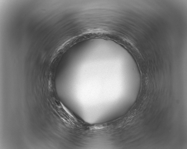 X0000053160968200508081432