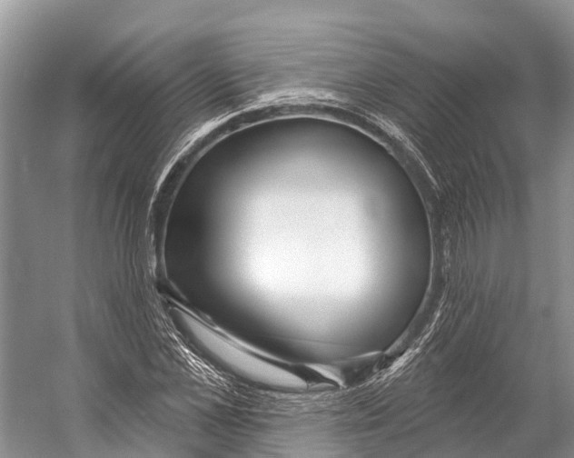 X0000053160973200508081432