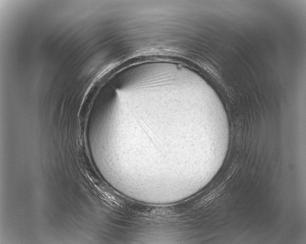 X0000053160974200508081432