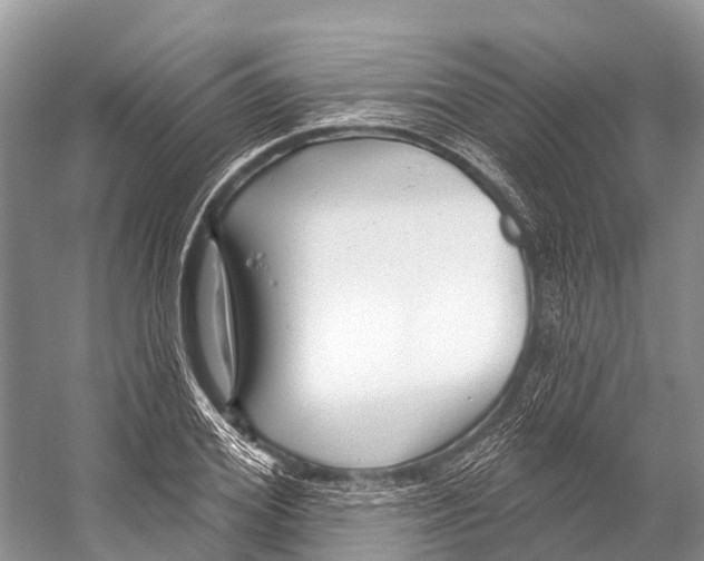 X0000053160980200508081432