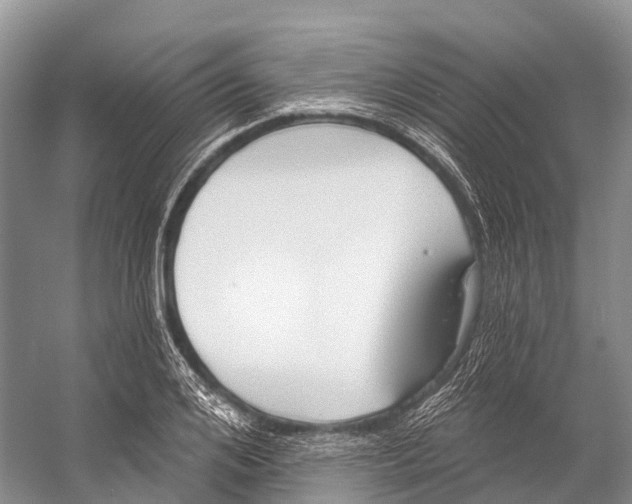 X0000053160984200508081432