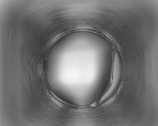 X0000053160985200508081432