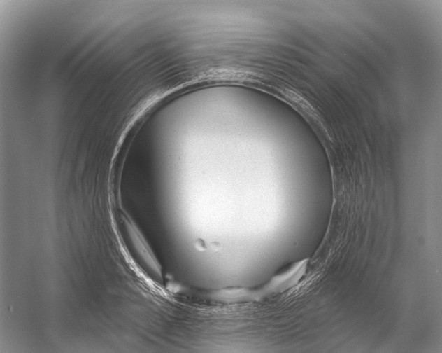 X0000053160989200508081432