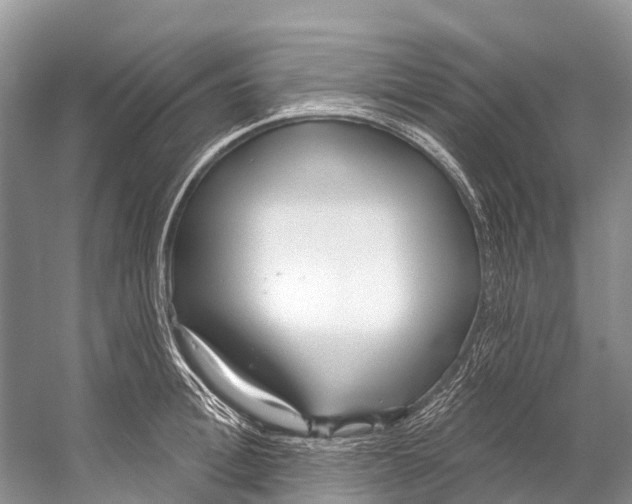 X0000053160996200508081432
