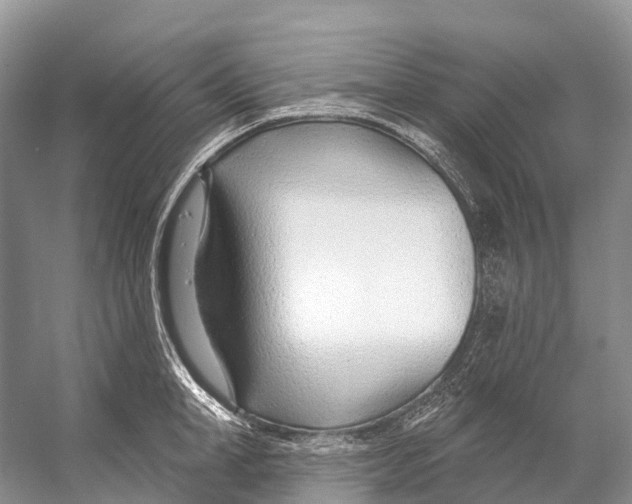X0000053160998200508081432