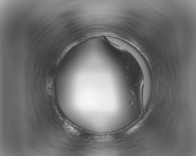 X0000053161001200508081432