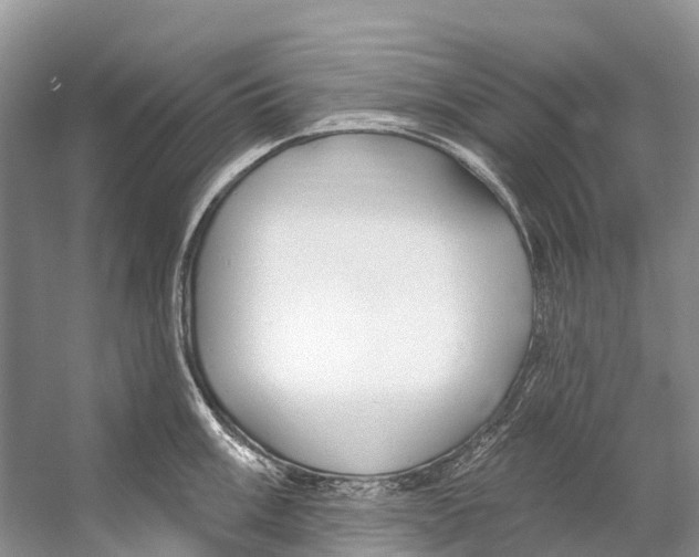 X0000053161003200508081432