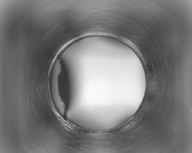 X0000053161004200508081432