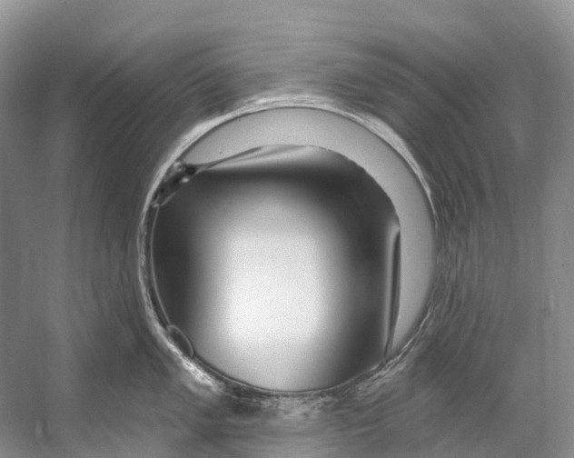 X0000053161005200508081432