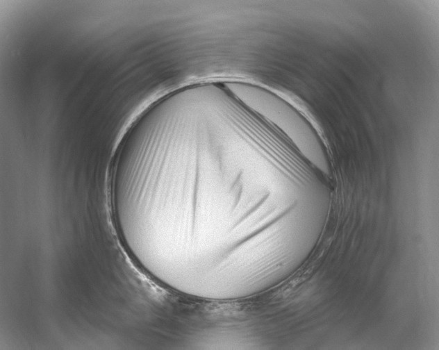 X0000053161006200508081432