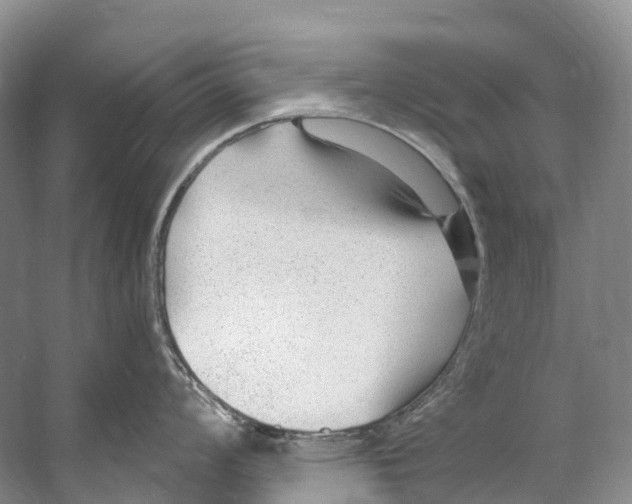 X0000053161008200508081432