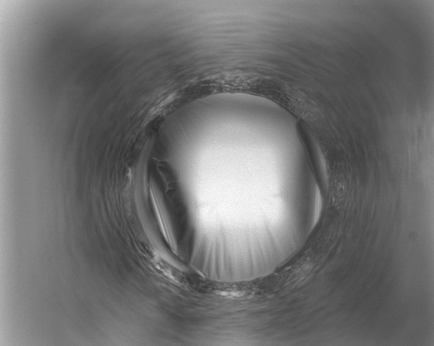 X0000053161010200508081431