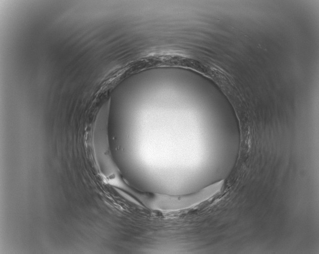 X0000053161014200508081431