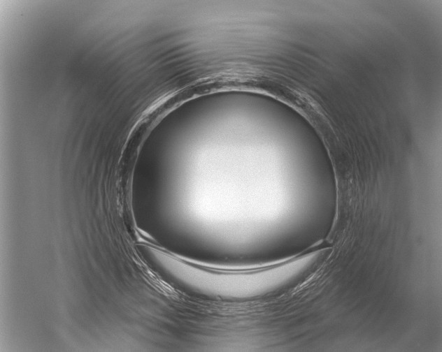 X0000053161018200508081431