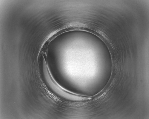 X0000053161022200508081431