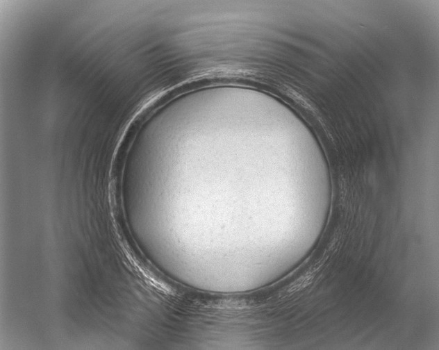 X0000053161029200508081431