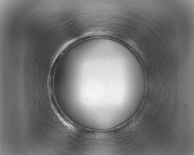 X0000053161030200508081431