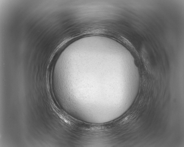 X0000053161035200508081431