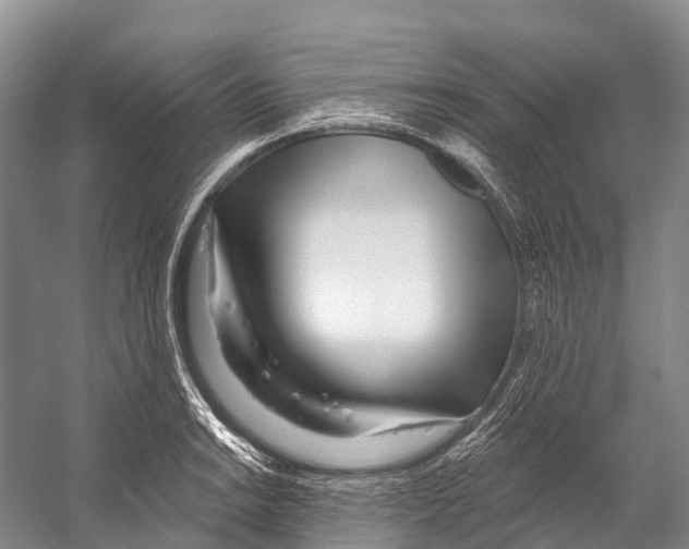 X0000053161038200508081431