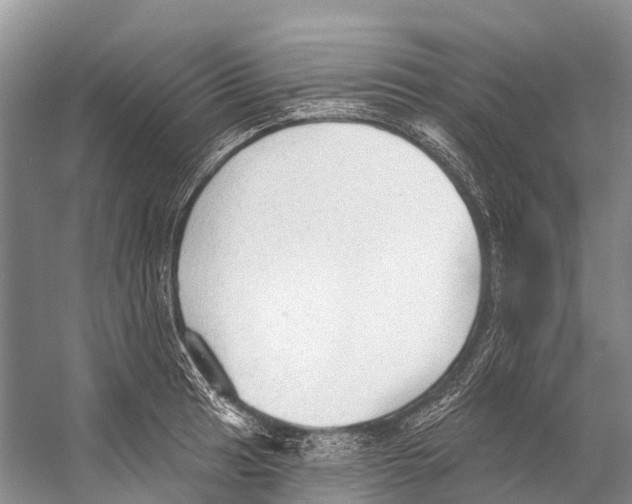 X0000053161041200508081431