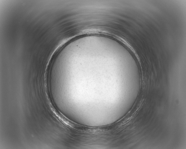 X0000053161045200508081431