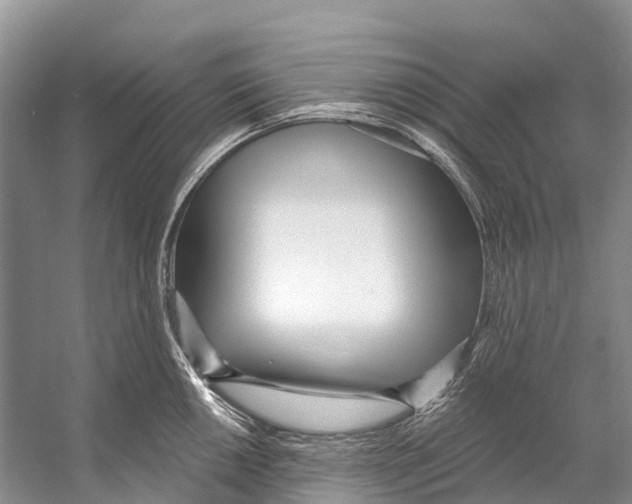 X0000053161050200508081432