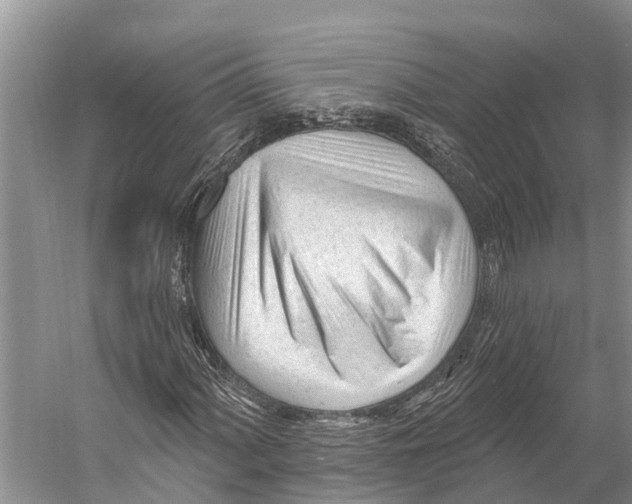 X0000053161060200508081431