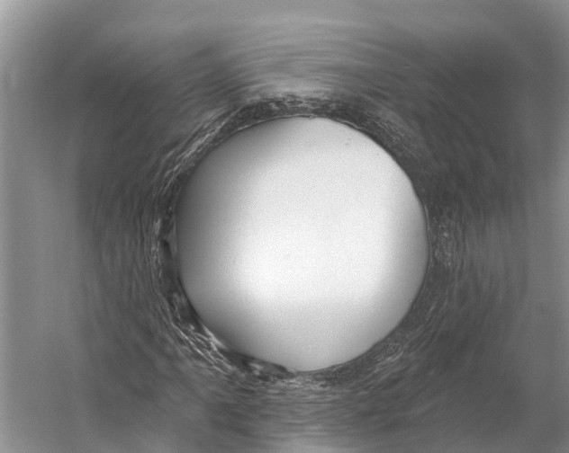 X0000053161061200508081431