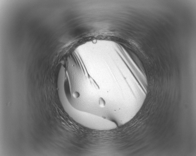X0000053161063200508081431