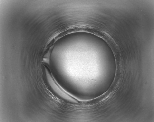 X0000053161065200508081431