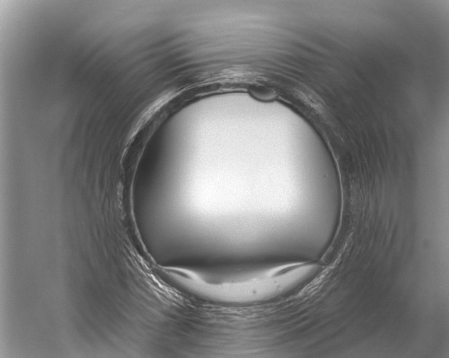 X0000053161066200508081431