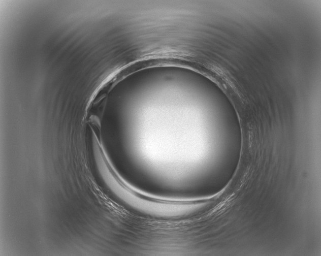 X0000053161069200508081431
